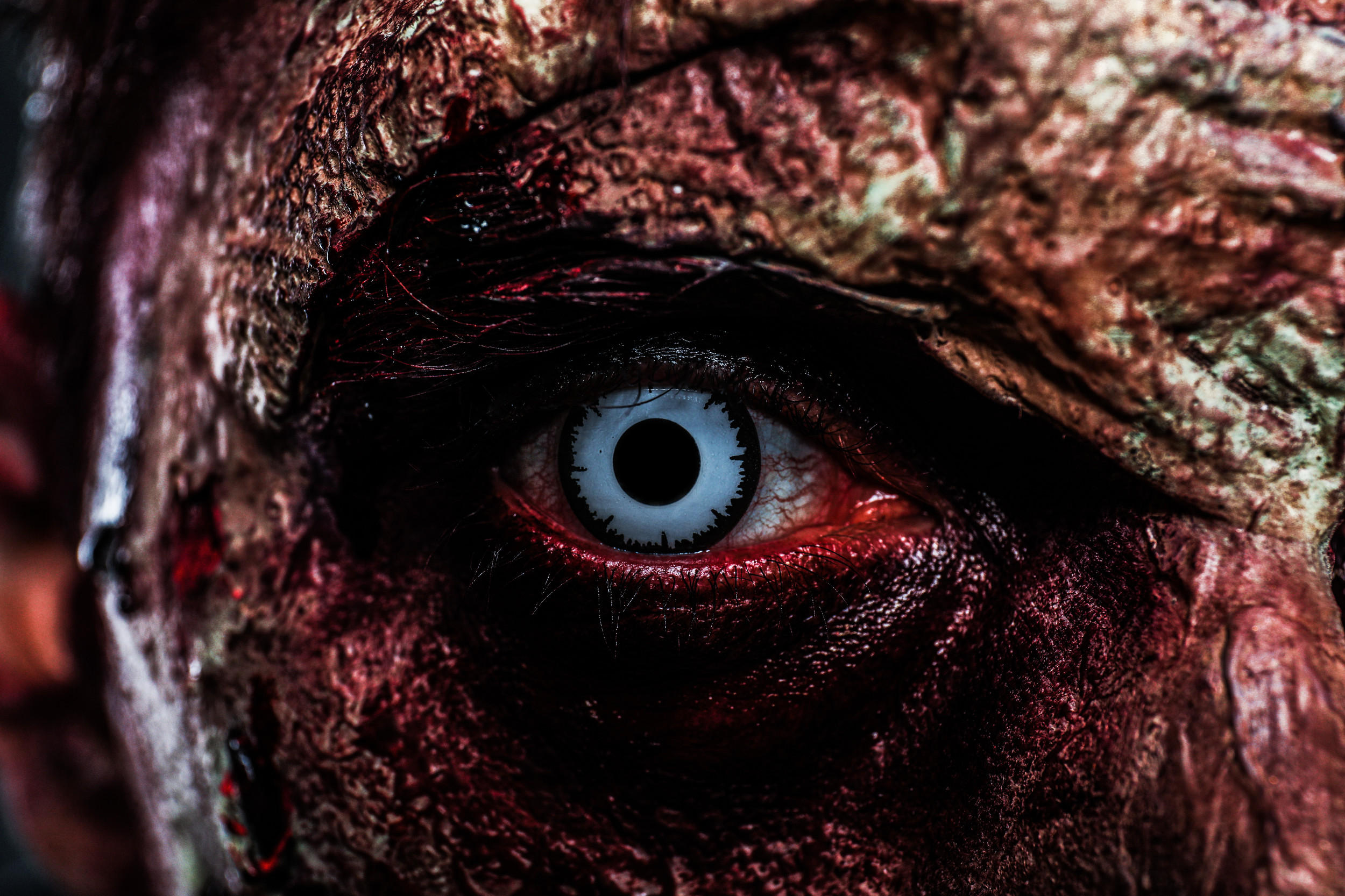 Dark Asylum Events Limited logo