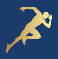 DB Sports Physio logo
