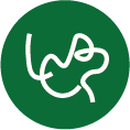 Leap Leather Craft logo