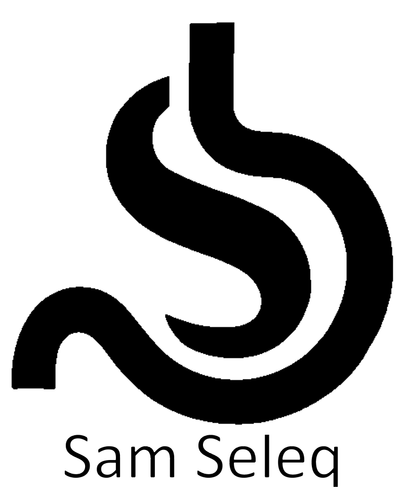 Seleq Medical logo