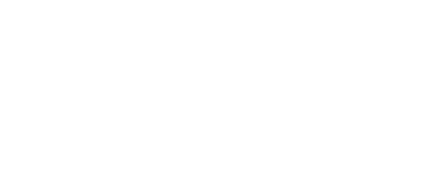 toss logo