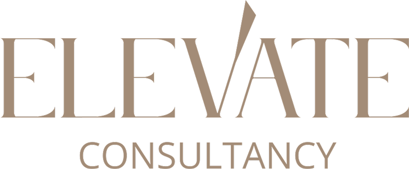 Elevate Consultancy logo