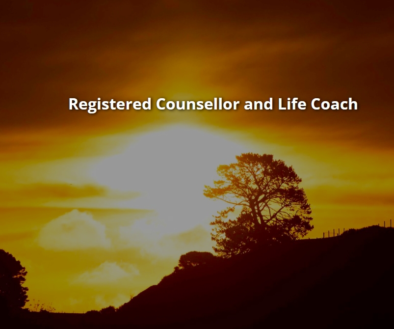 Voyage Counselling logo