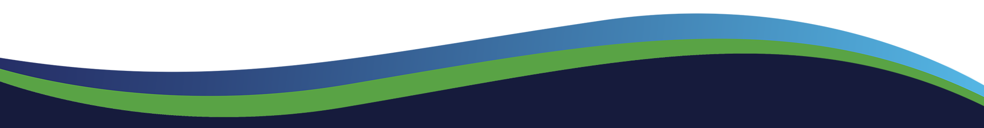 Nuflow Wellington logo
