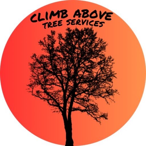 Climb Above Tree Services logo