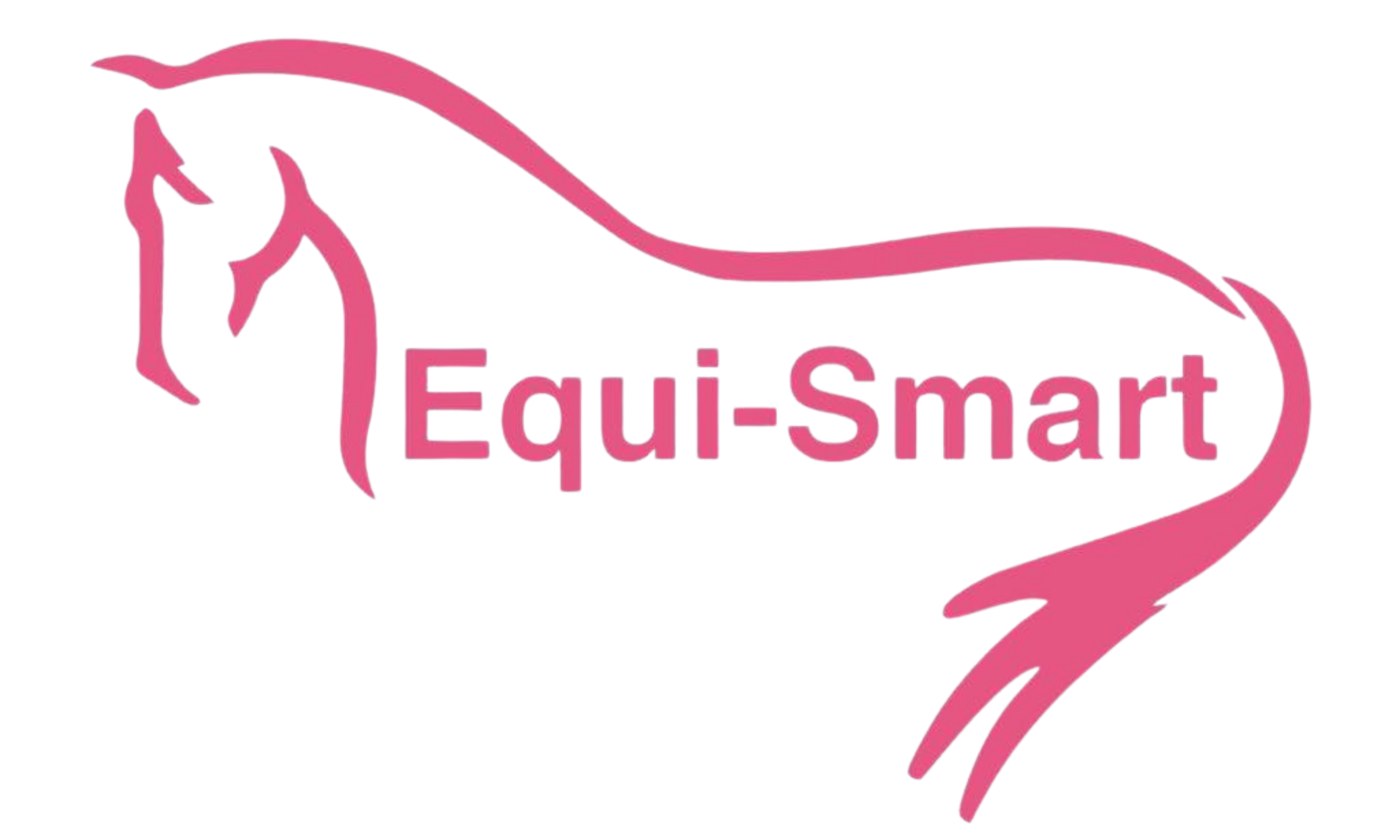 Equi-Smart logo
