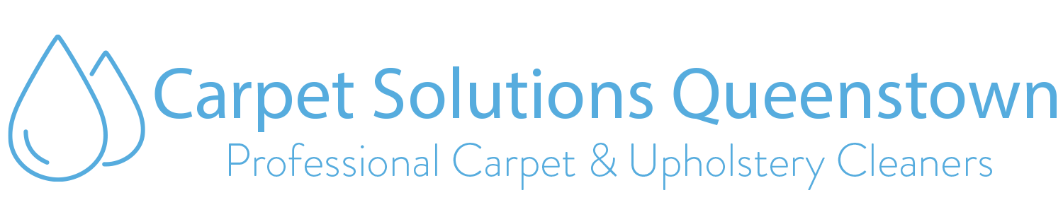 Carpet Solutions QT logo