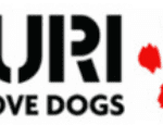 Kuri City logo