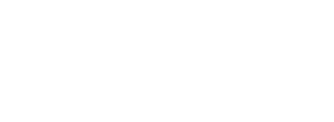 Pinnacle Property Services logo
