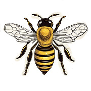 Manuka Honey and Beekeeping Consultancy logo