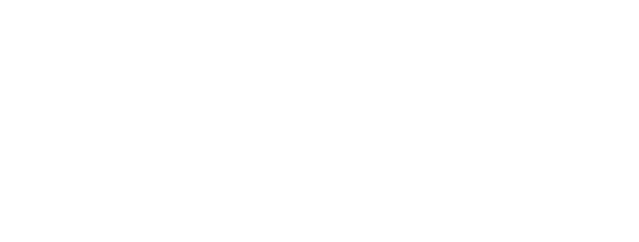 Trail Events NZ logo