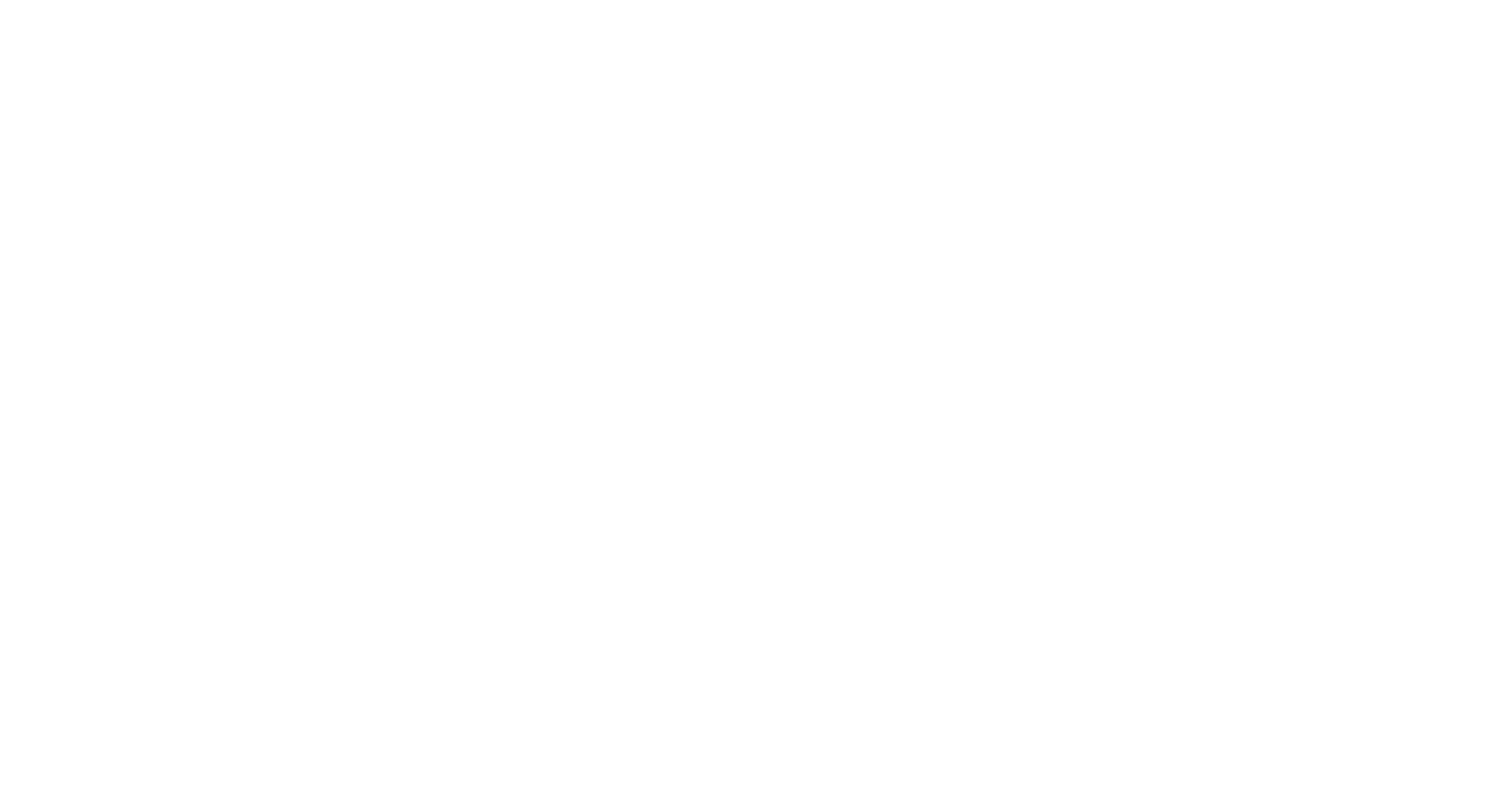 The New Zealand Disc Profiling Hub Limited logo