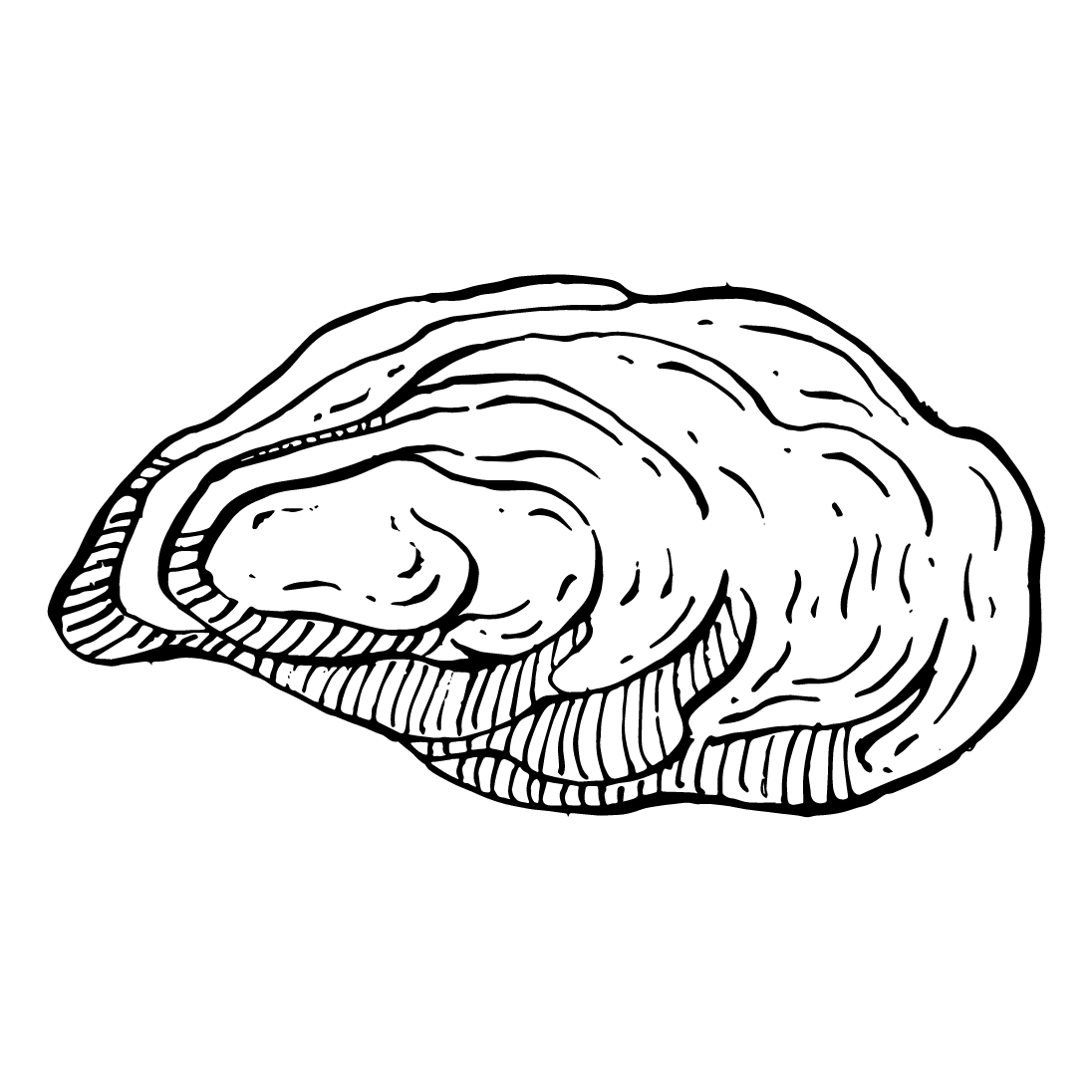 Theoysterbarco Limited logo