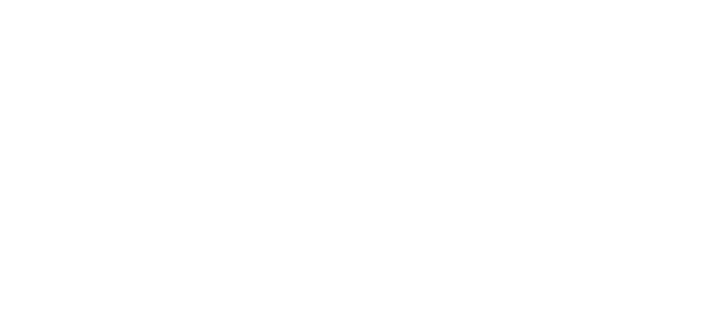 Palm Beach Plumbing Ltd logo