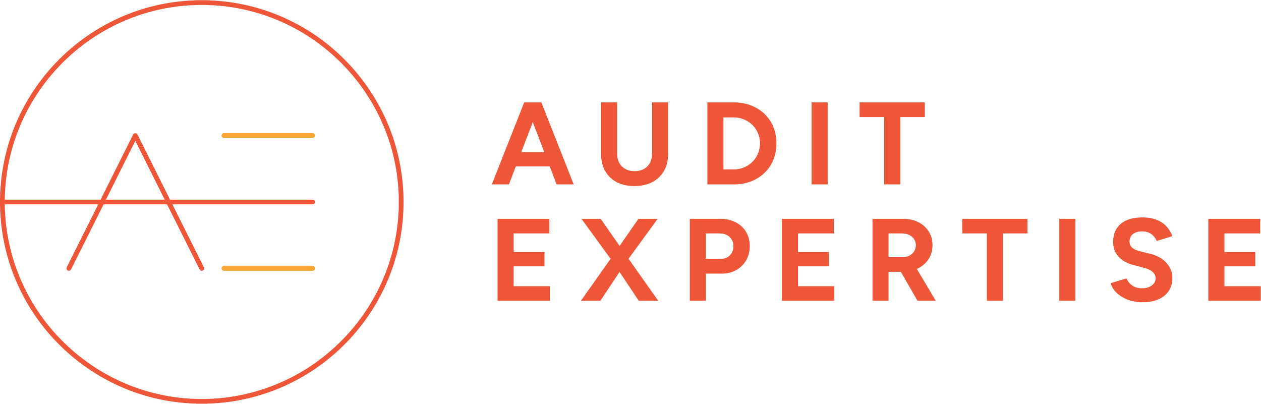 Audit Expertise logo