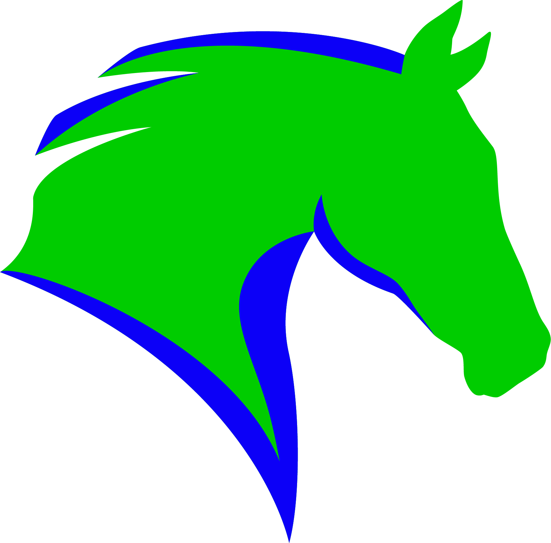 Patella Racing Limited logo
