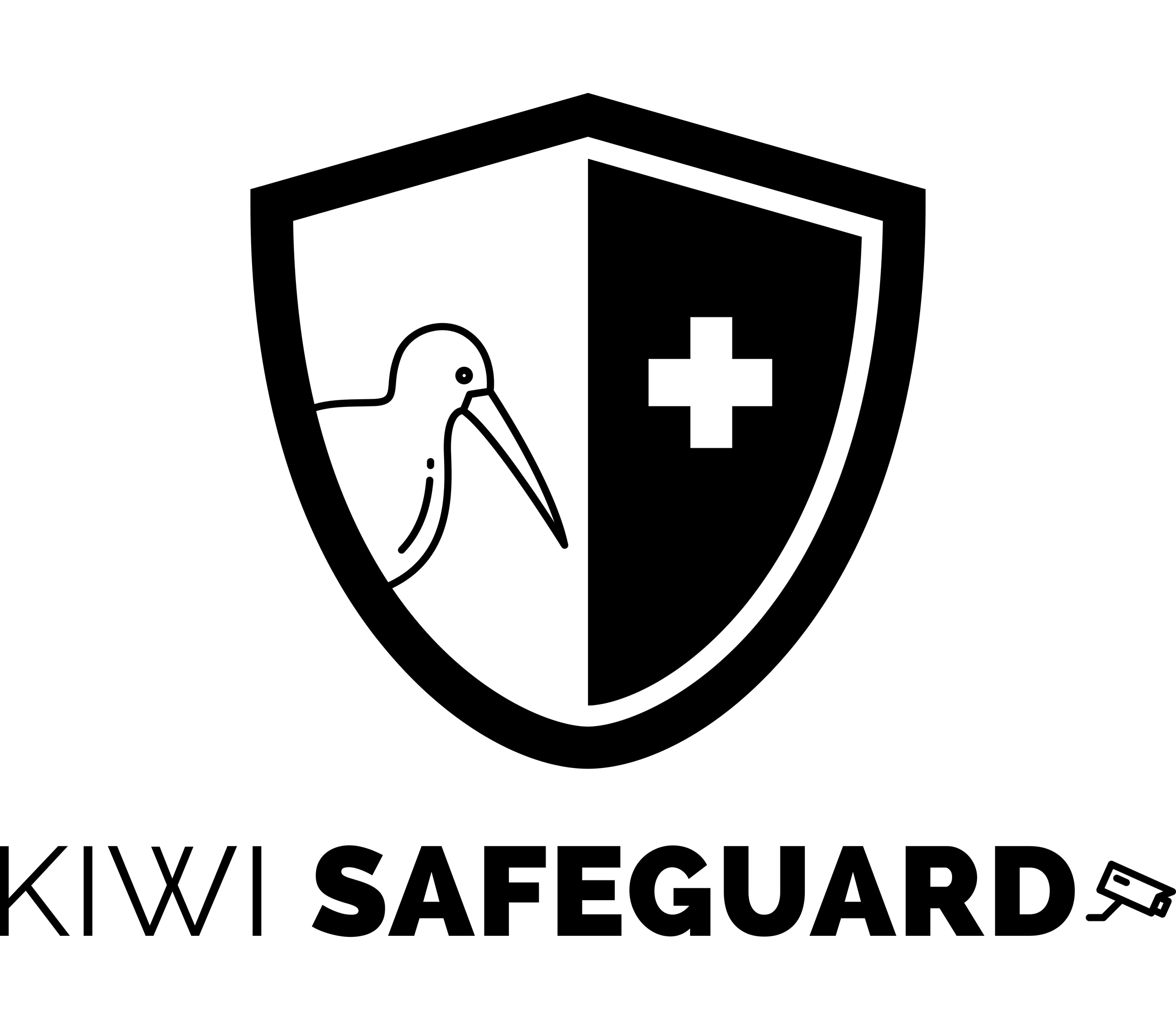 Kiwi Safeguard logo