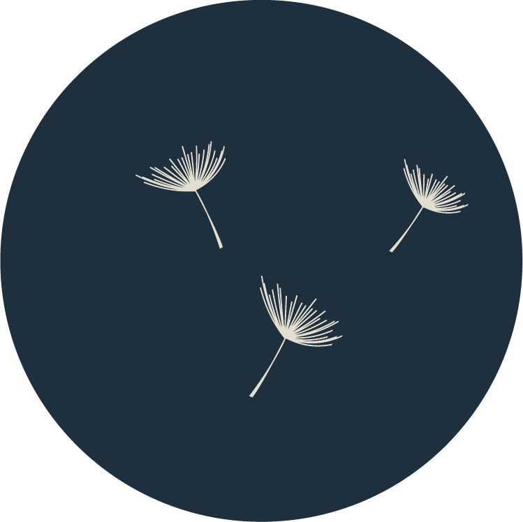 Collective Home Clean logo