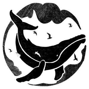 Still Rain Limited logo