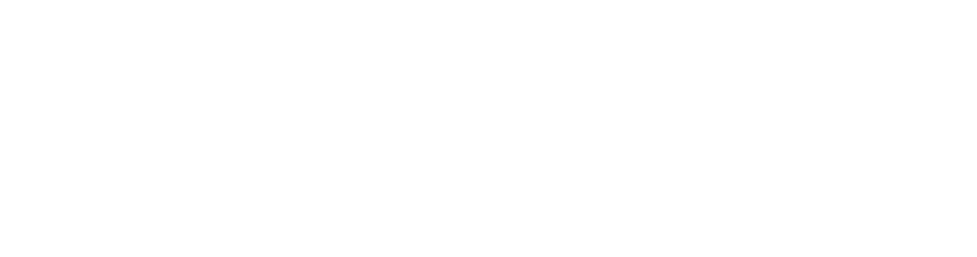 Blac South Island logo