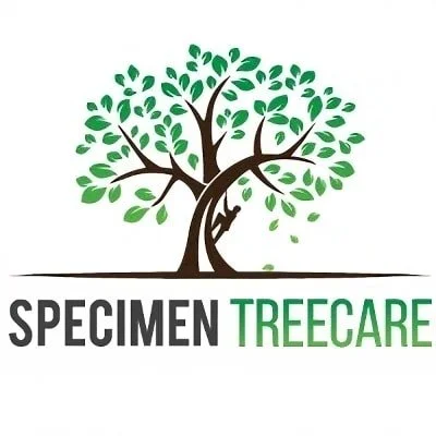 Specimen Treecare logo