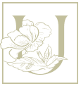 Aotearoa Mead logo