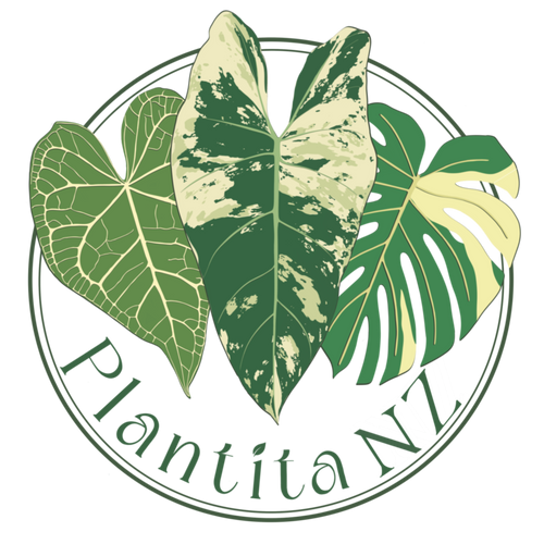 PLANTITA NZ logo