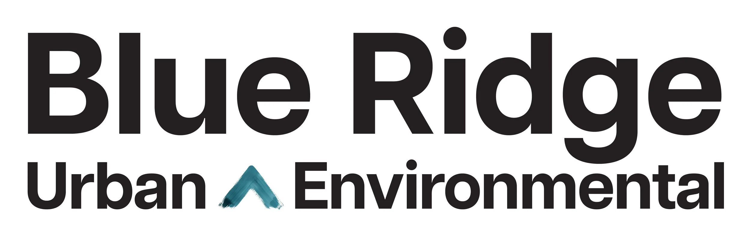 Blue Ridge NZ logo