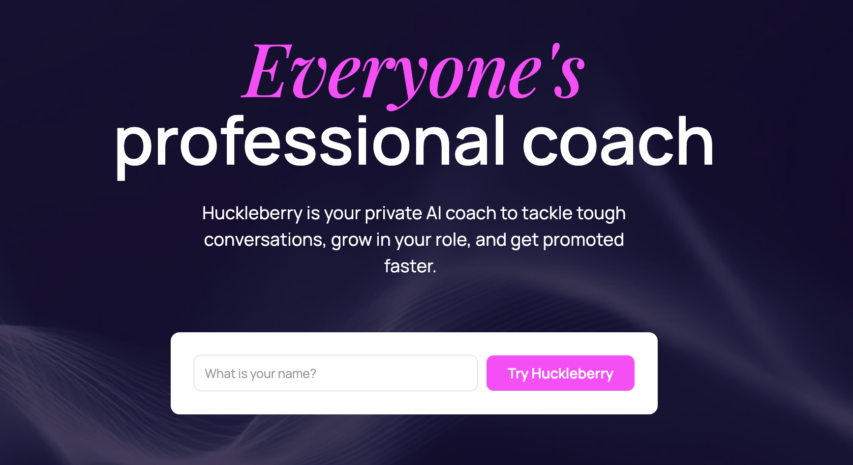 Huckleberry New Zealand logo