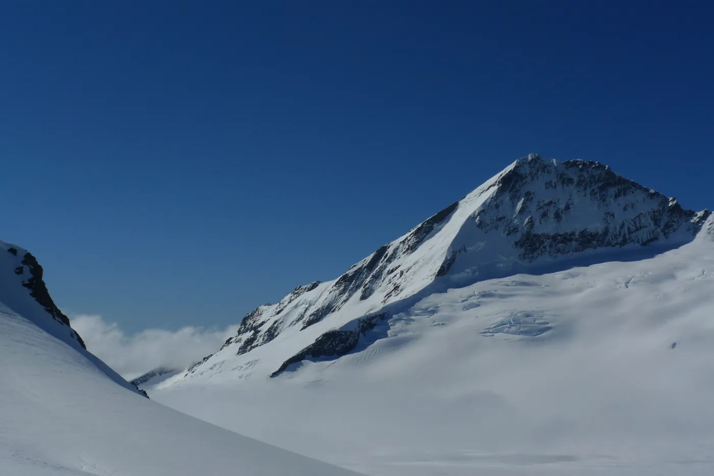 Wanaka Mountain Guides photo 1