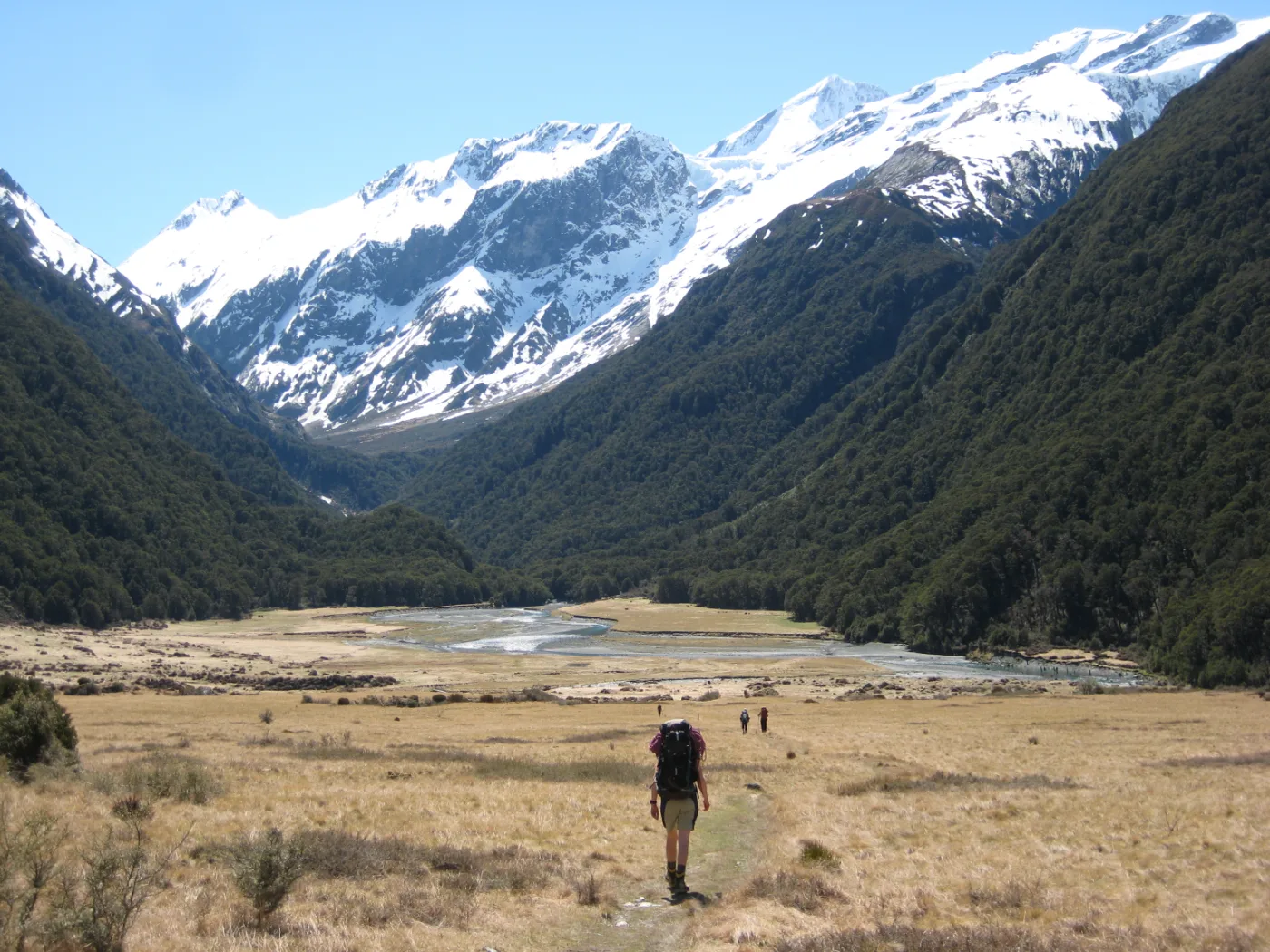 Wanaka Mountain Guides photo 3