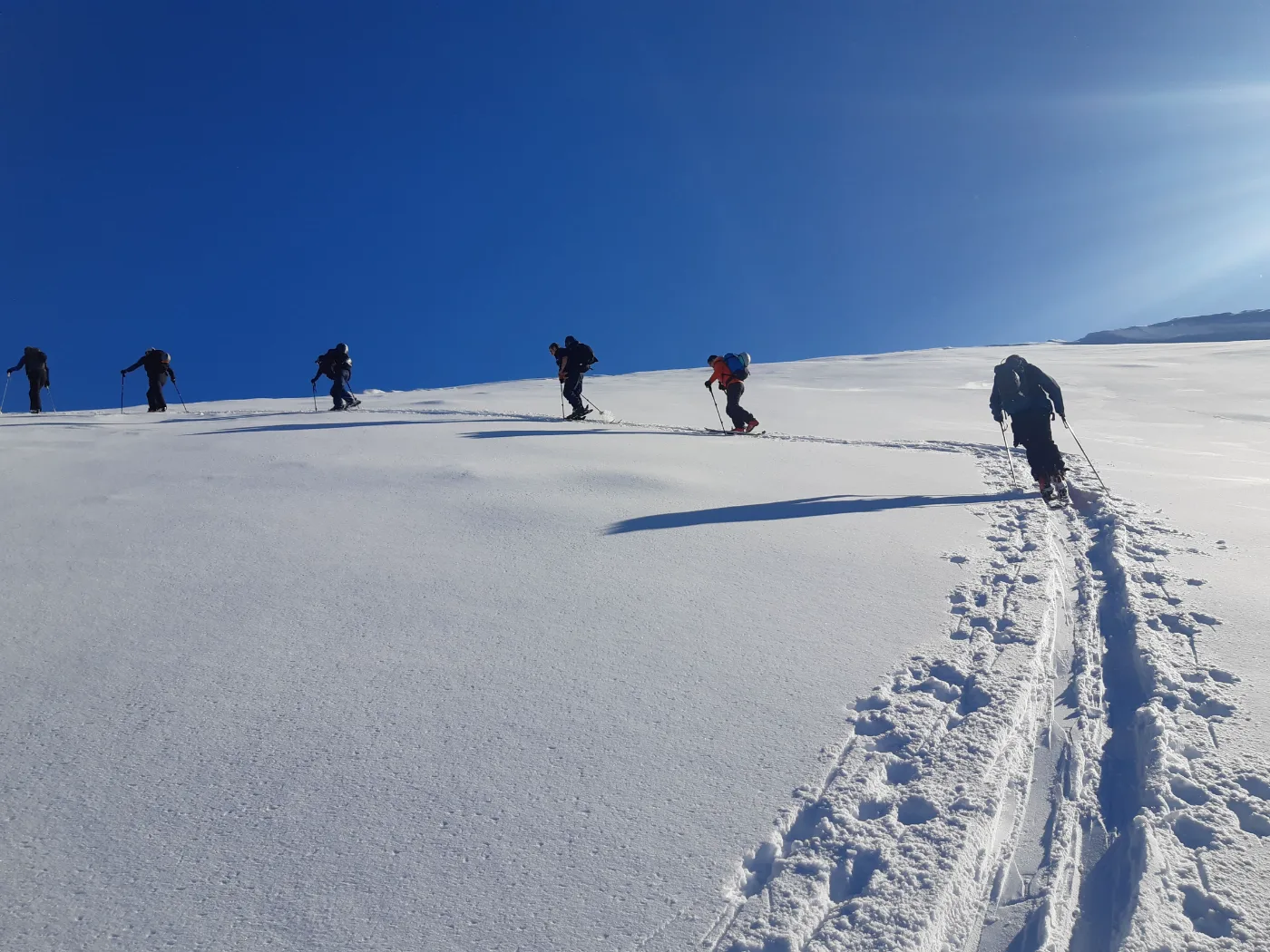 Wanaka Mountain Guides photo 11