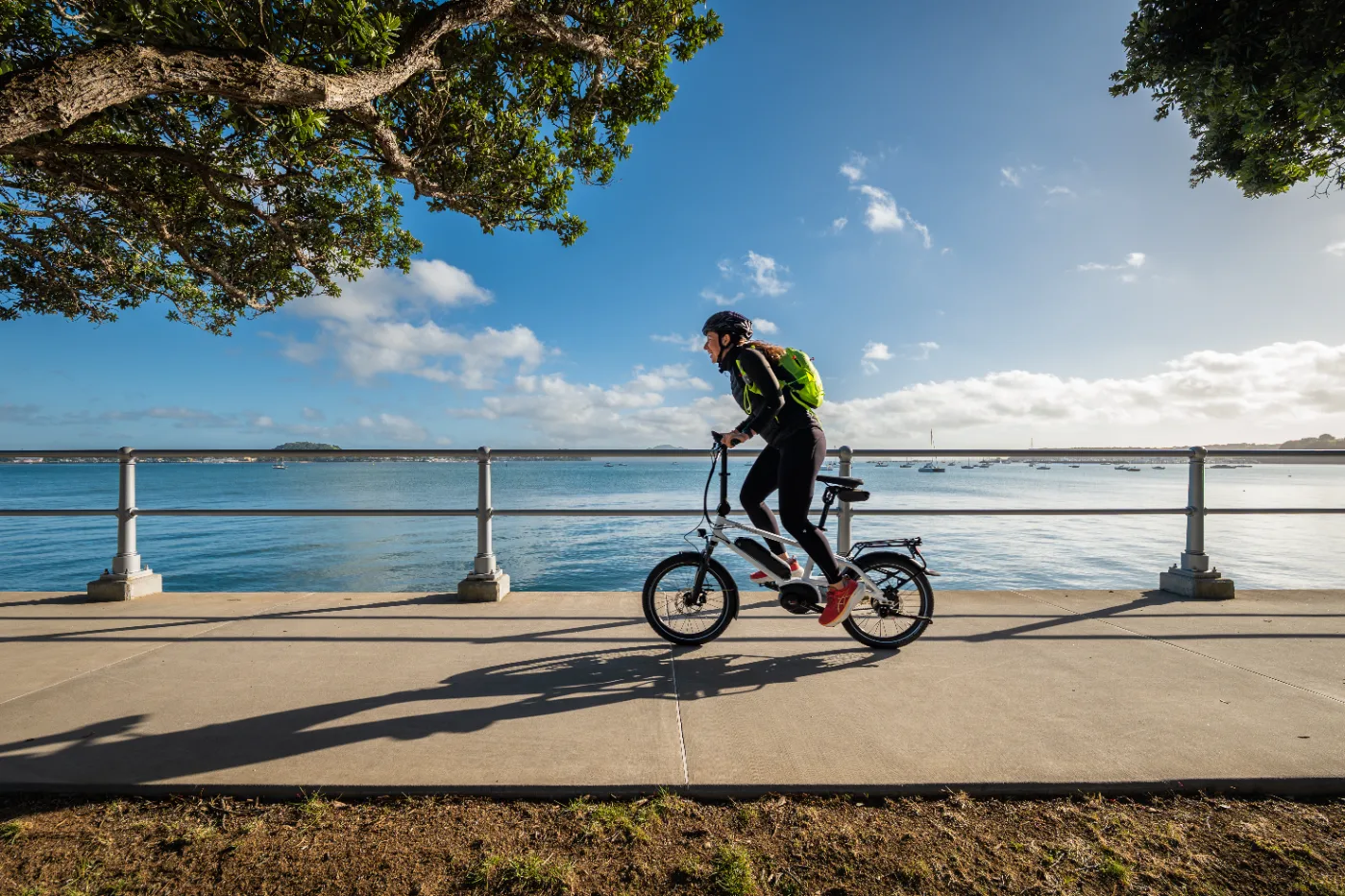 Northride New Zealand photo 1