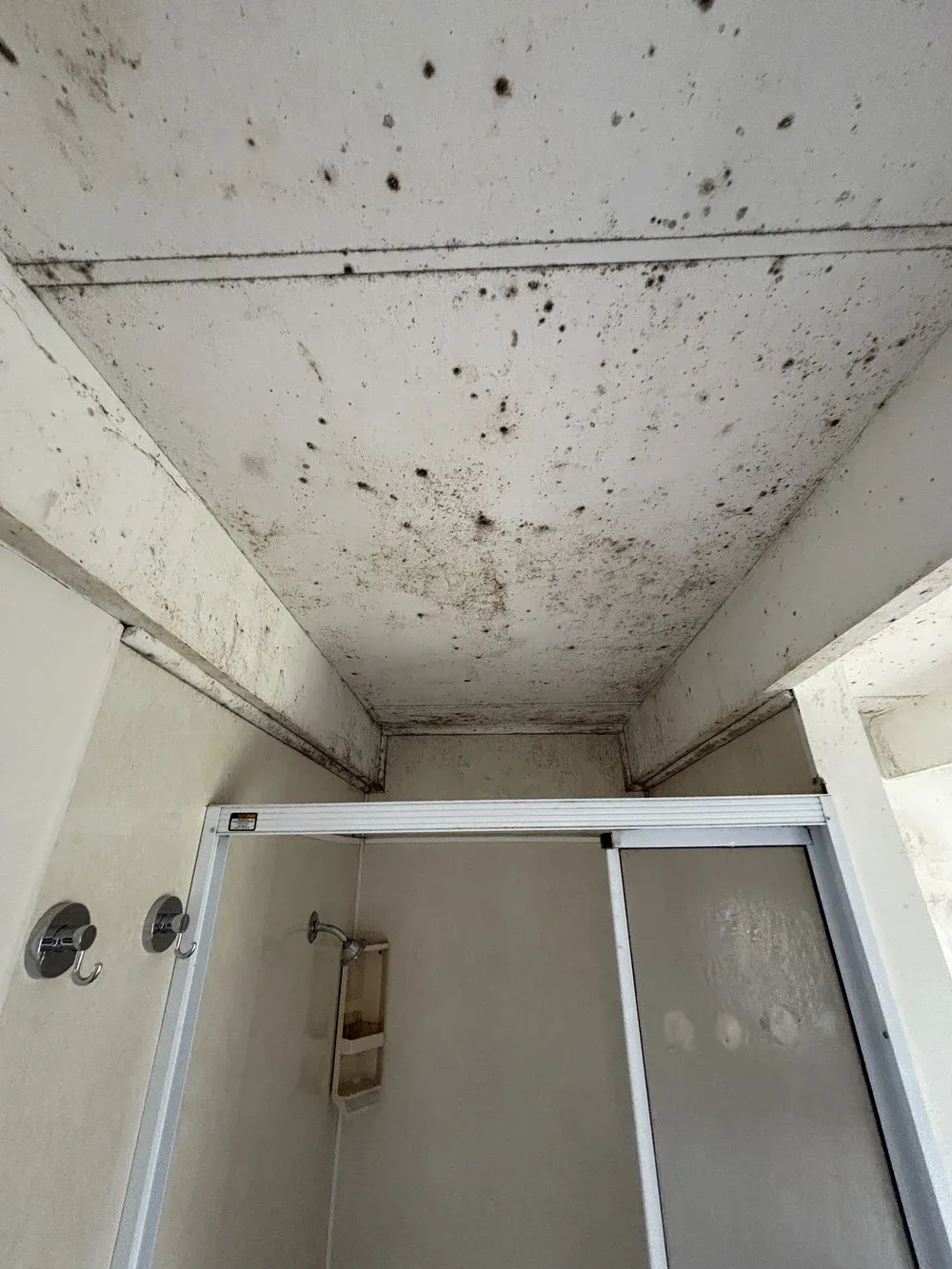 Healthy & Dry photo 14