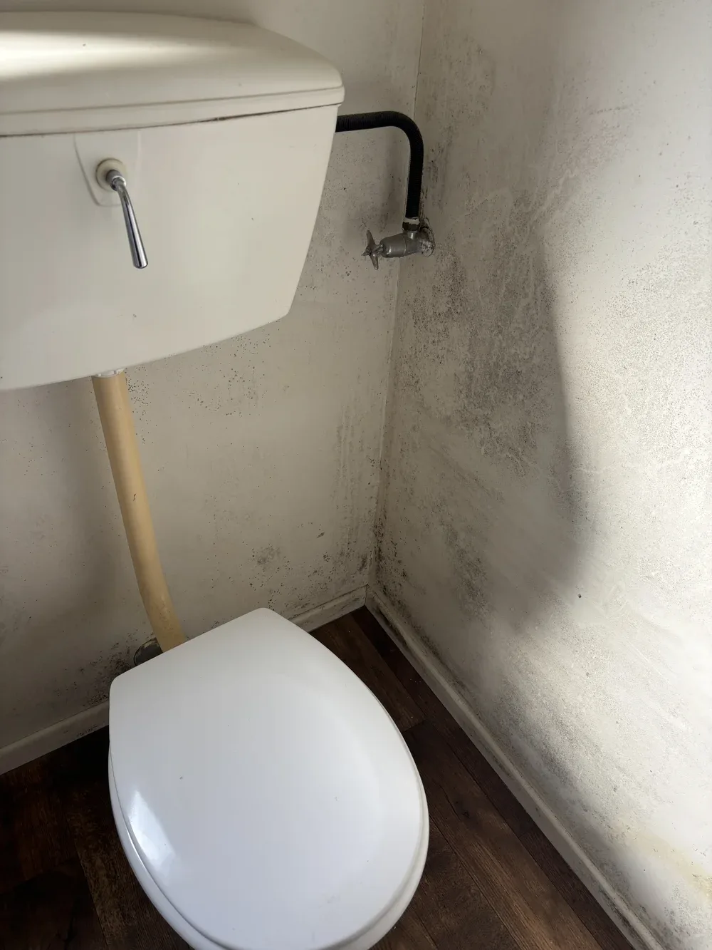 Healthy & Dry photo 16