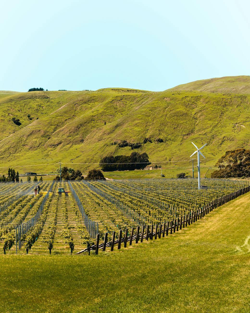 Marlborough, New Zealand