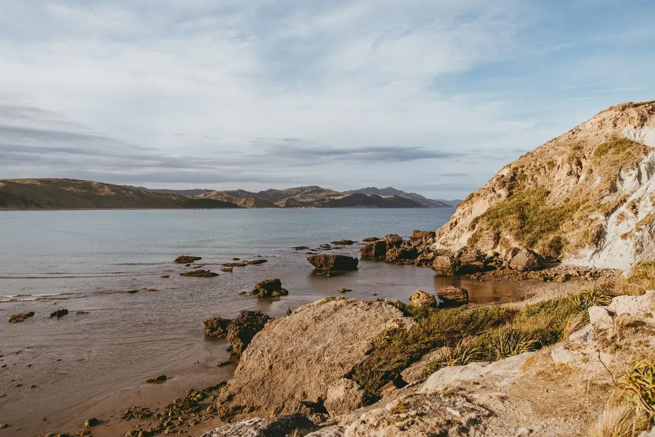 Grenada North, Wellington