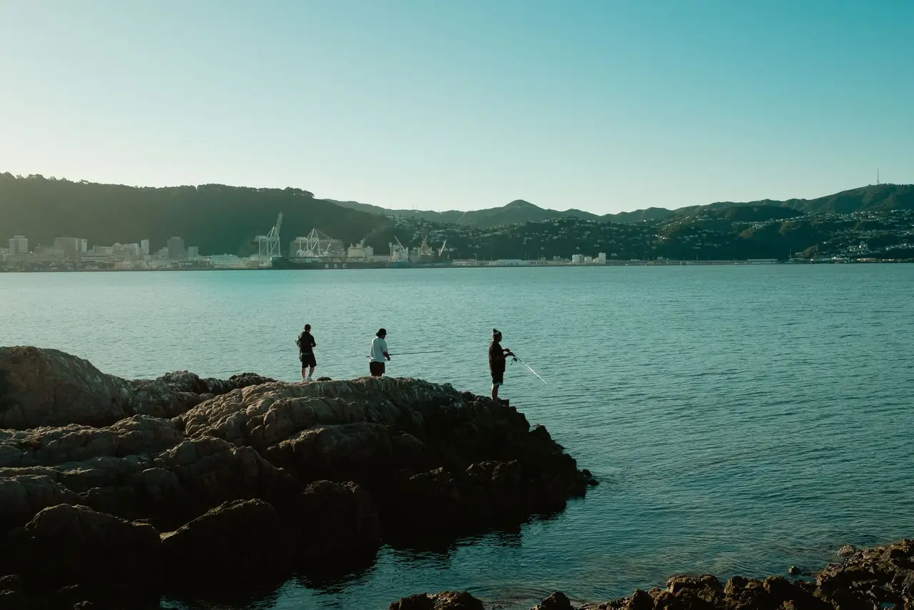 Kingston, Wellington