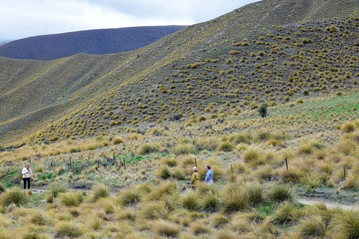 Mosgiel, Otago