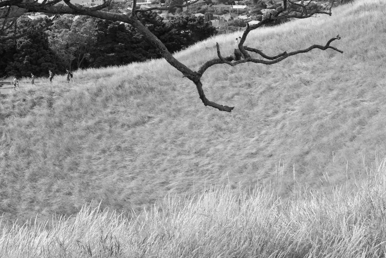 Mt Eden, Auckland