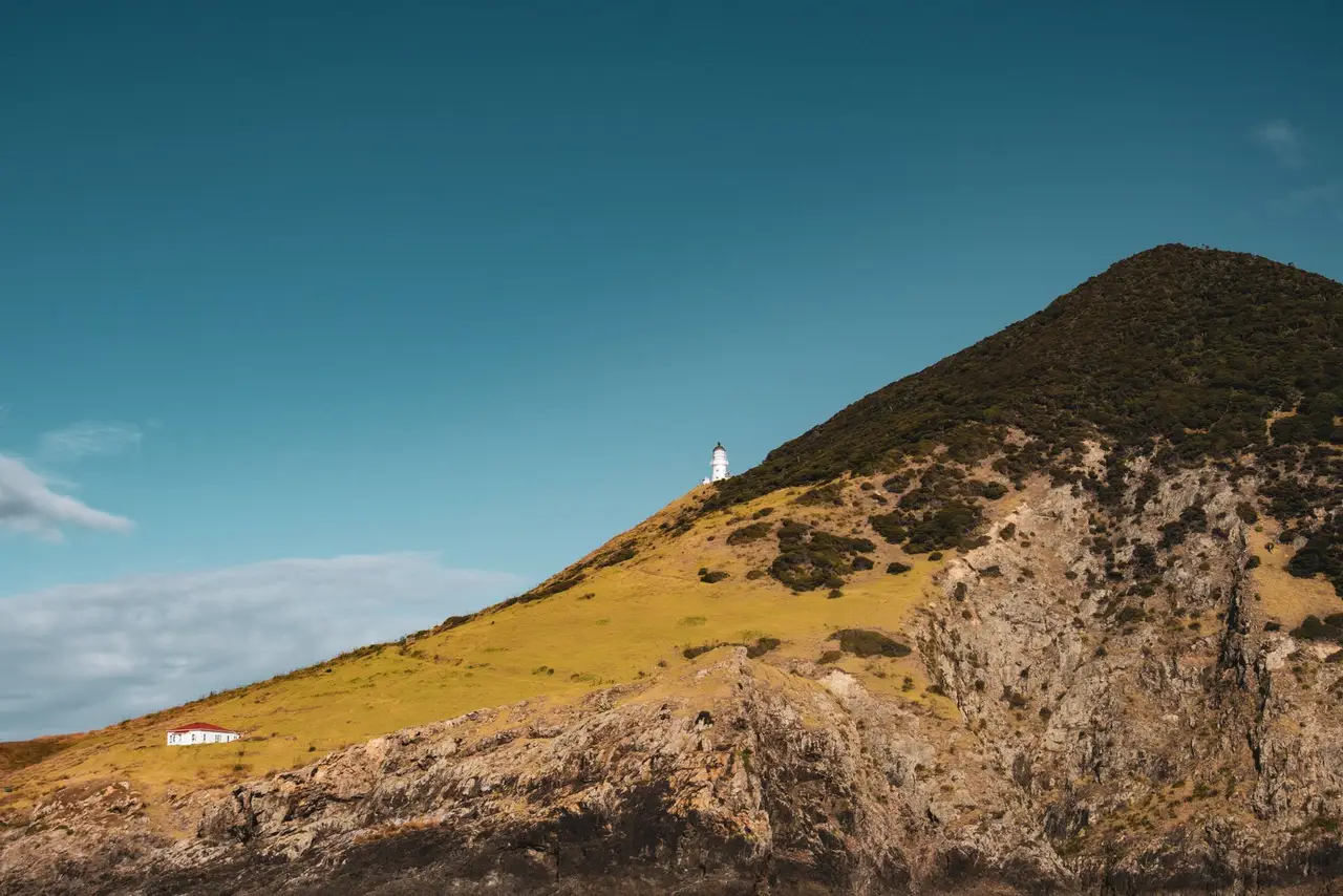 Northland, Wellington
