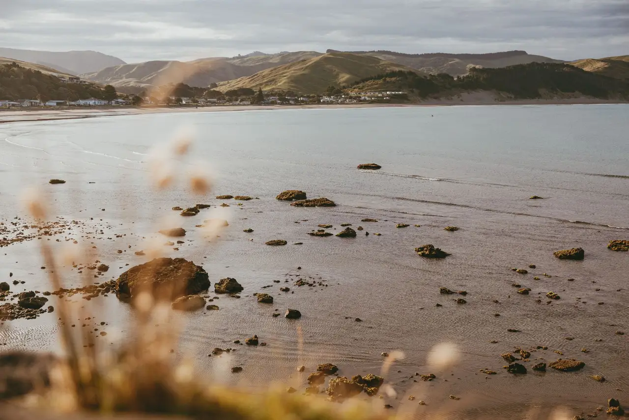 Owhiro Bay, Wellington