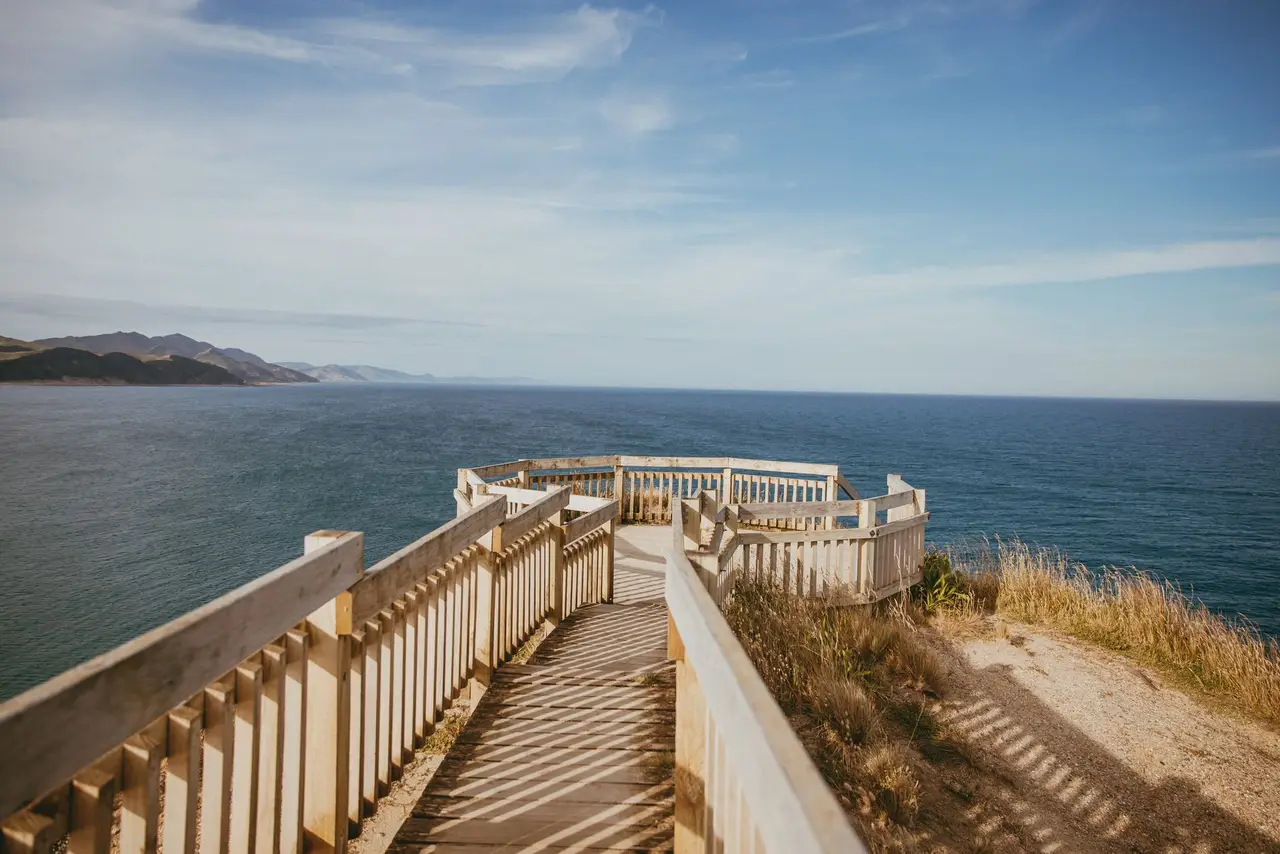 Paparangi, Wellington