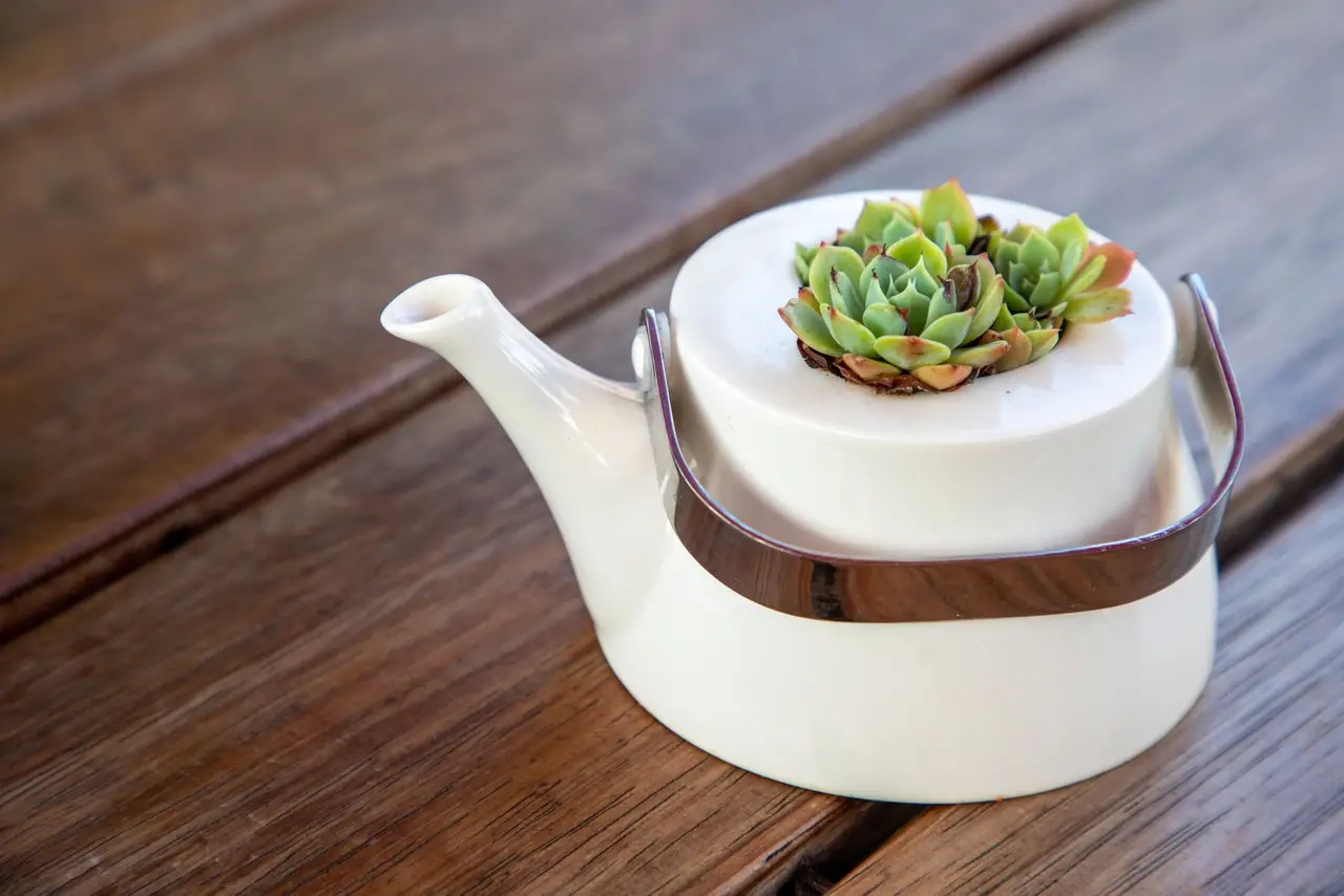 Pipitea, Wellington