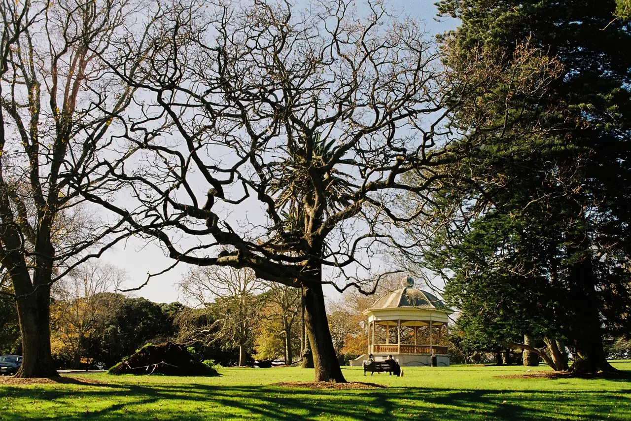 Ponsonby, Auckland