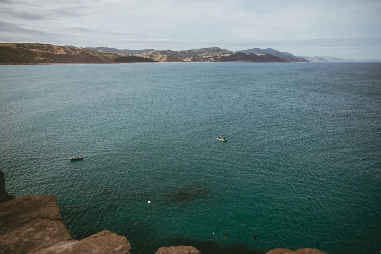 Roseneath, Wellington
