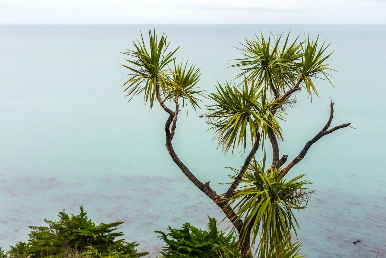 Strathmore Park, Wellington