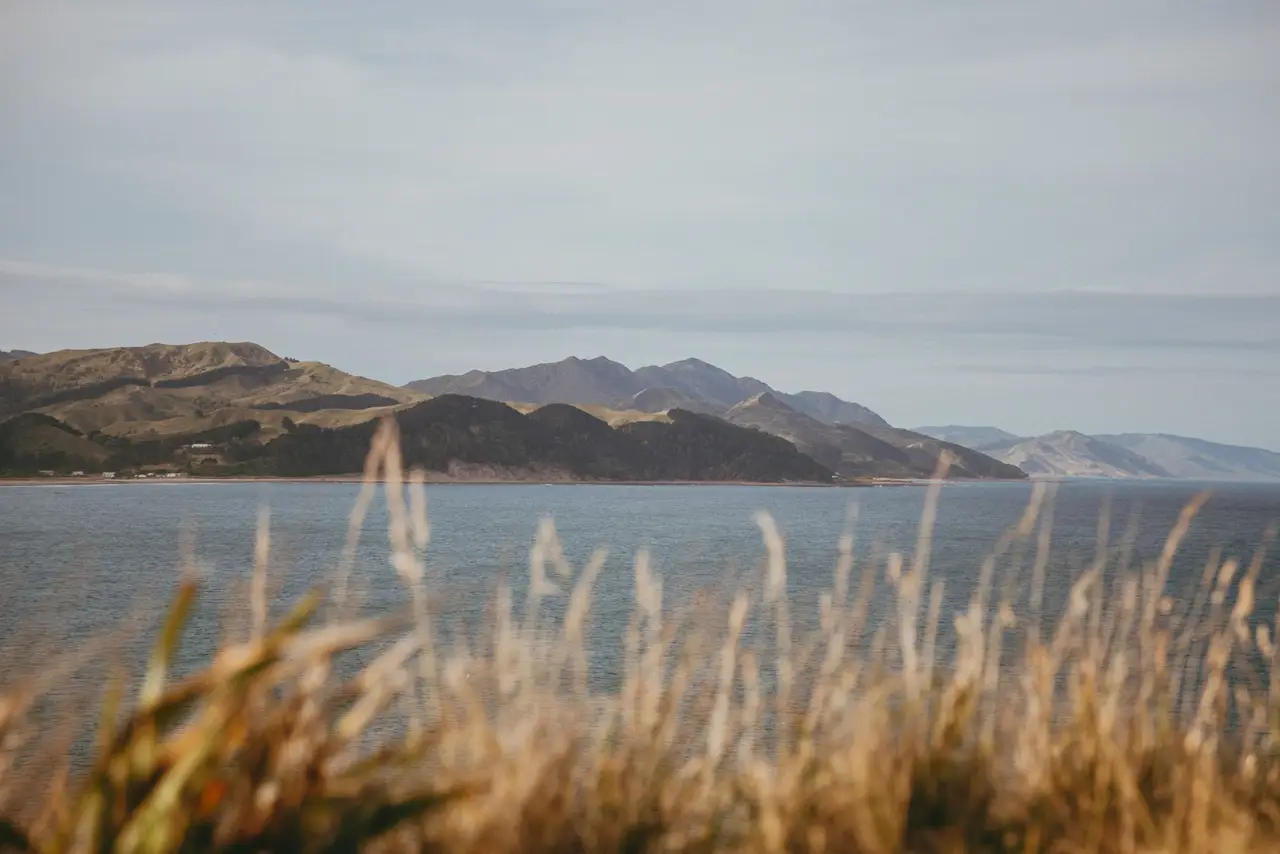 Takapu Valley, Wellington