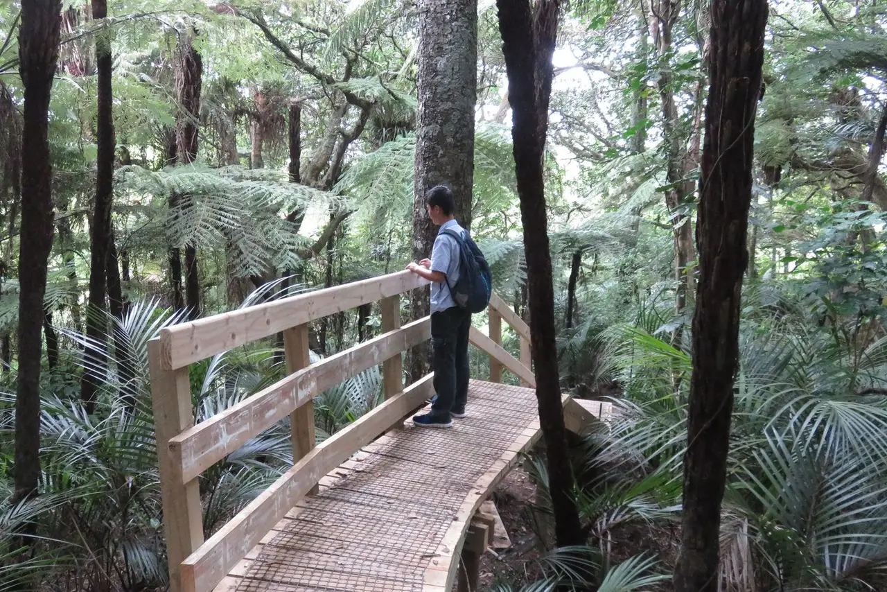 Titirangi, Auckland