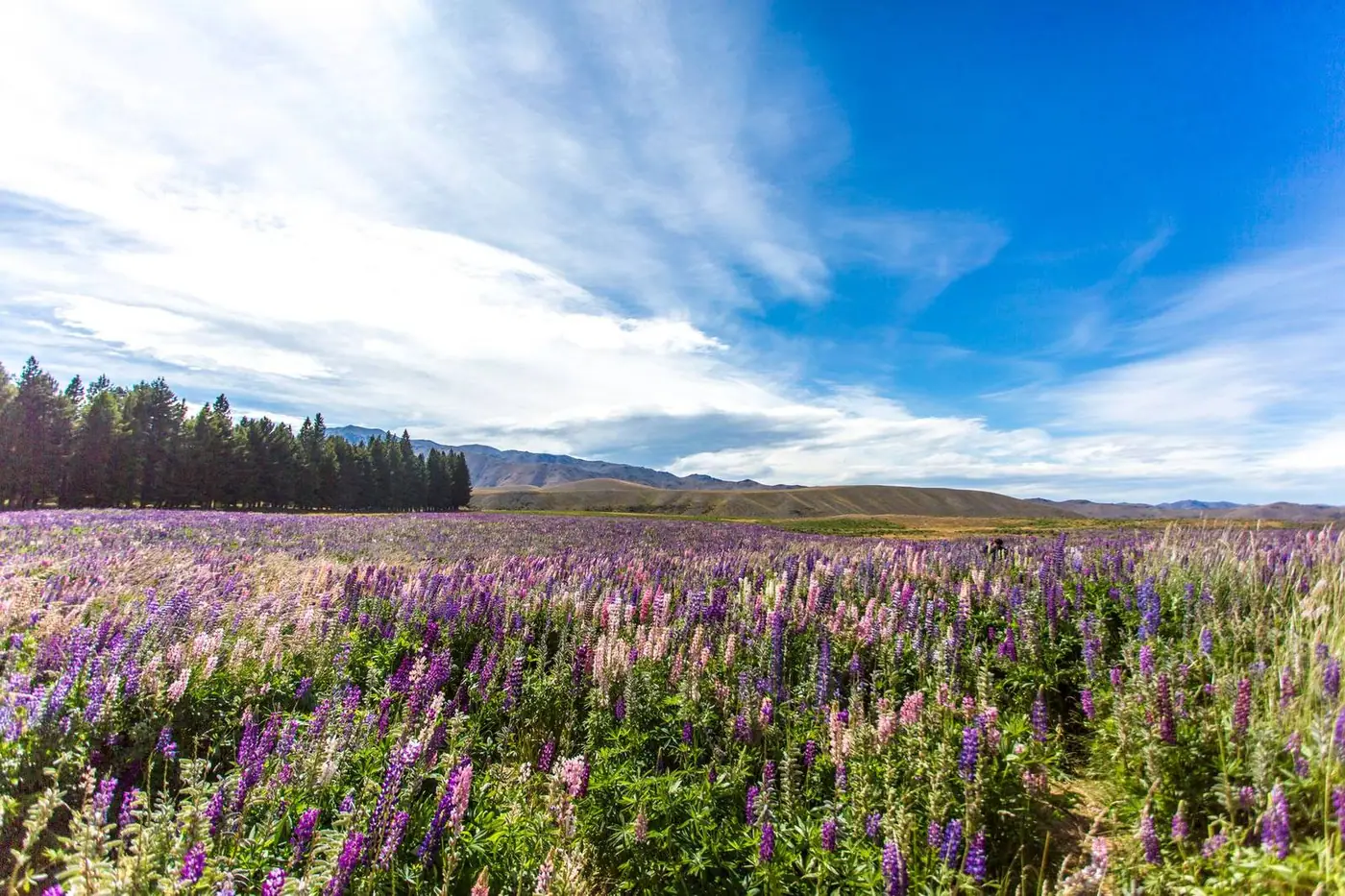Twizel, Canterbury